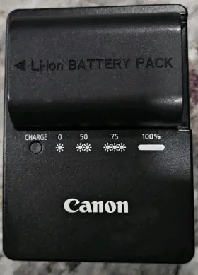 Canon Ds510101a Battery And Charger