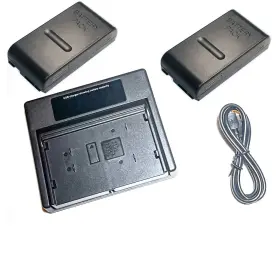 2-geb111 Centenex Electronics As-chnimh 6v Usb Combo Battery Charger 2 Batteries For Geb111 Geb-111 Dna10 Total Station
