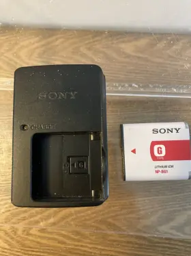 Bc-cs60 Sony Wall Camera Battery Charger G Series Batteries 100-240v