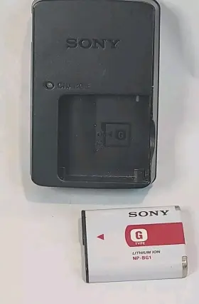 Np-bg1 Sony Hx30 Genuine Camera Battery Bc-csg Charger 4 W50 W300 T100 Hx9v Hx20
