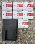 Genuine Sony Camera NP-BG1 Battery Bc-csg Charger 4 W50 W300 T100 HX9V HX20 More. Fixed Price $95.00.