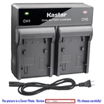 Kastar Battery Ac Rapid Charger For Panasonic AG-BRD50P AG-B23P. Fixed Price $140.99.