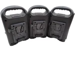3X Fxlion Dual-channel+dc Output Li-ion Battery Charger PL-Q280B. Fixed Price $399.99.