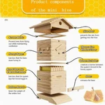 Mini 10X Upgraded Auto Honey Frames &wooden House Box. Fixed Price $161.48.