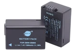 Dste Replacement For 2PCS DMW-BMB9E Li-ion Battery Compatible Panasoni. Fixed Price $25.00.